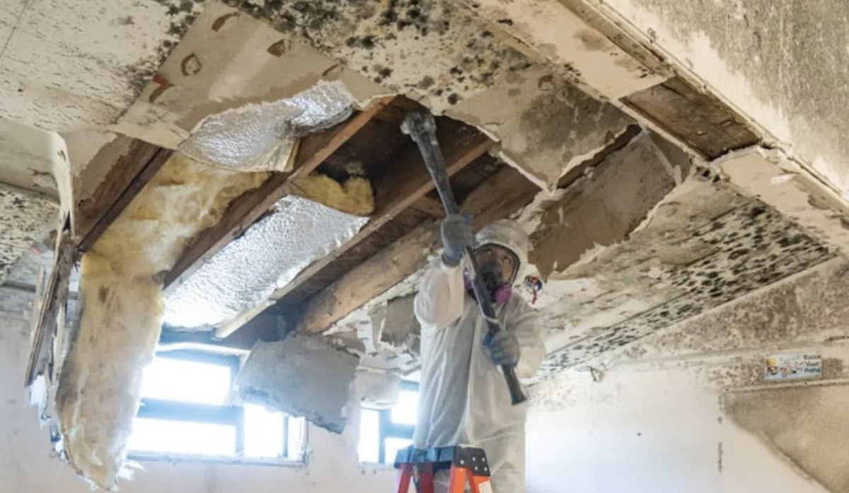 asbestos-technician