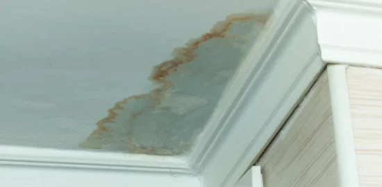 The Importance of Addressing Untreated Water Damage in Your Home